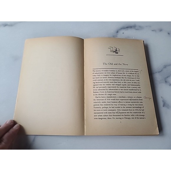 The Response To Industrialism 1885-1914 - Samuel P Hays 1960 Vintage Paperback - Picture 7 of 10